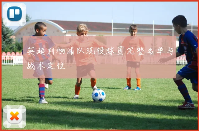 英超利物浦队现役球员完整名单与战术定位