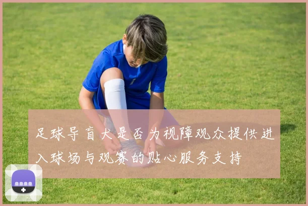 足球导盲犬是否为视障观众提供进入球场与观赛的贴心服务支持