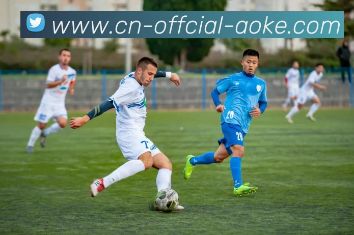 澳客足彩平台生态图